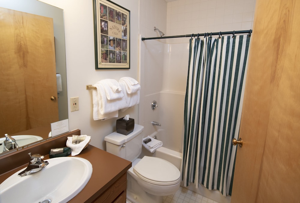 Okemo Mountain Lodging by Vail Resorts - photo 49