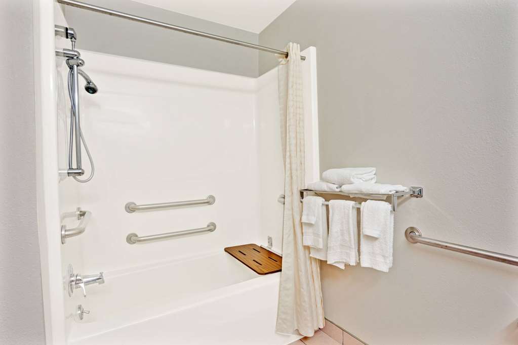 Microtel Inn & Suites by Wyndham Roseville Detroit Area - photo 6