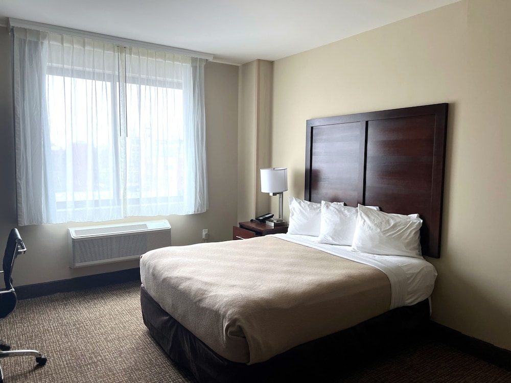 Lotus BLU Inn & Suites - photo 19