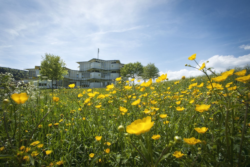 Hotel Cip - last minute hotel in Tramelan