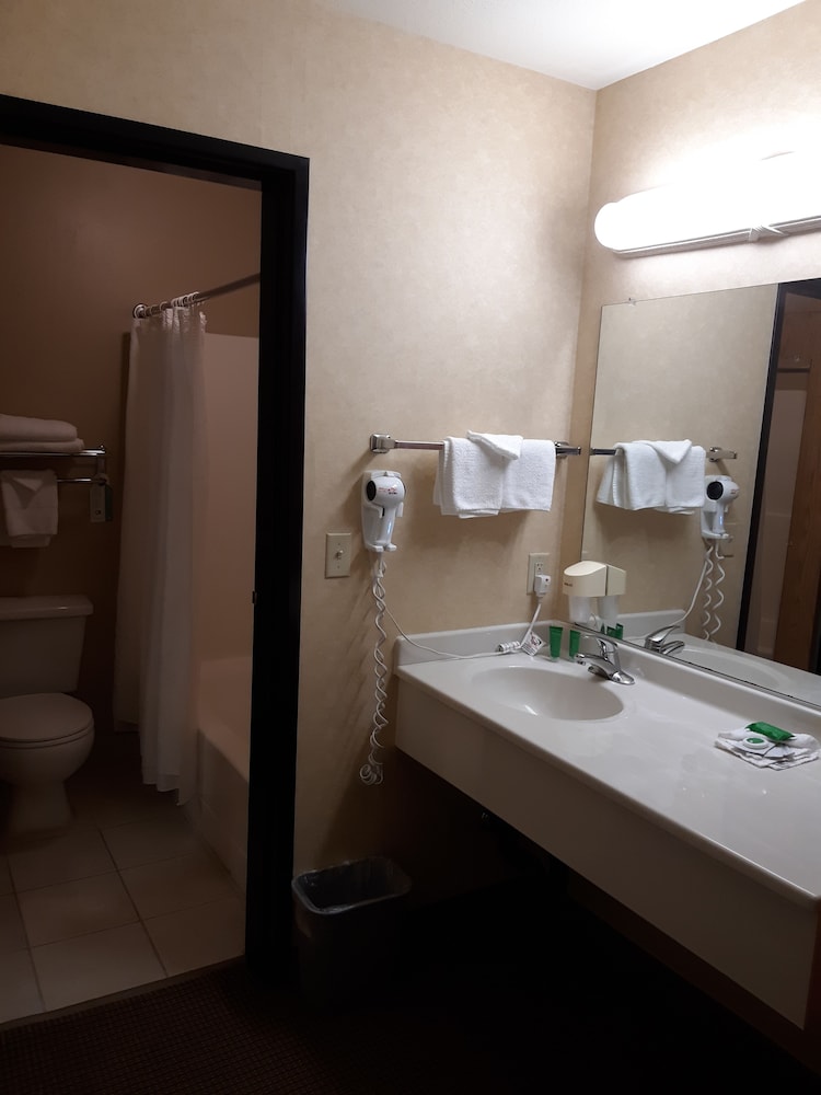 Lavissh Inn & Suites - photo 16
