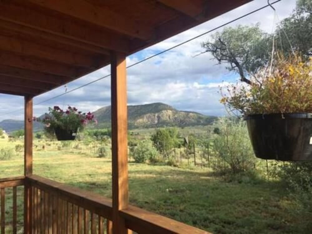 Blue Dragonfly Inn - photo 20