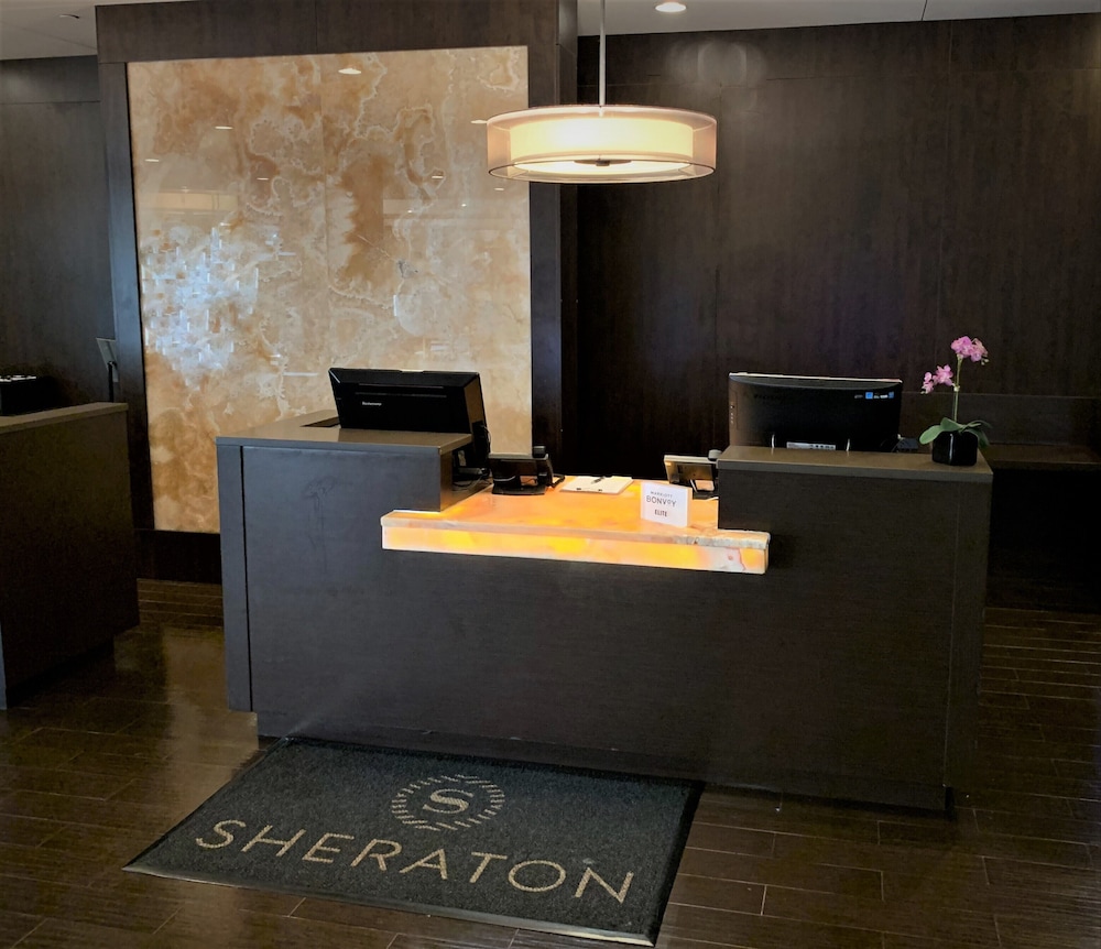 Sheraton Lisle Naperville Hotel - photo 4
