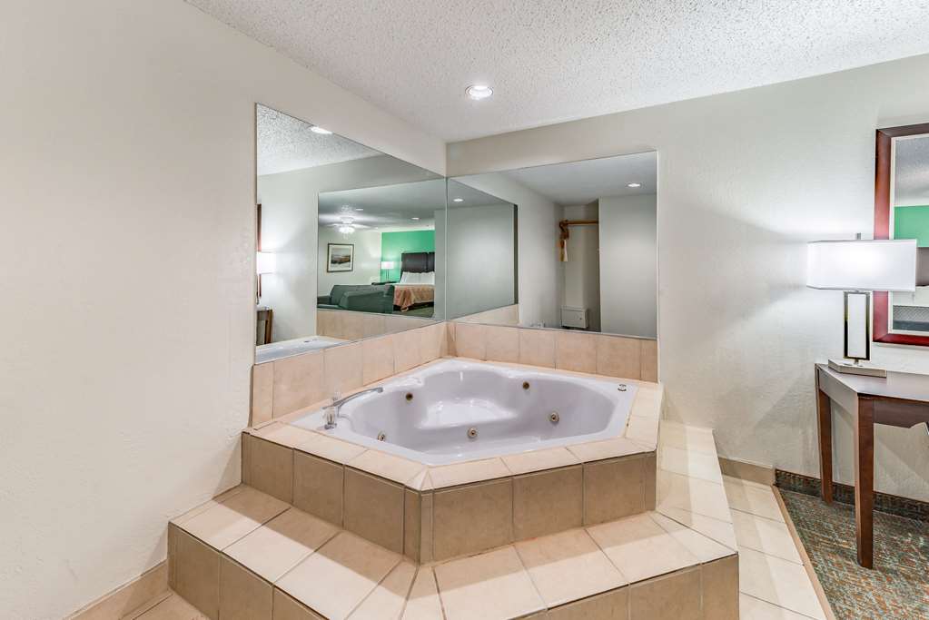 Quality Inn Allen Plano East - photo 27