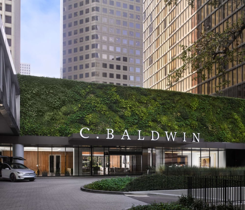C. Baldwin Curio Collection by Hilton - photo 52