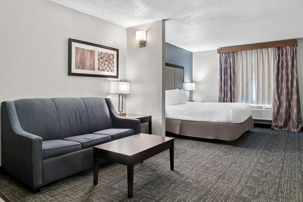 Best Western Plus Flint Airport Inn & Suites - photo 34