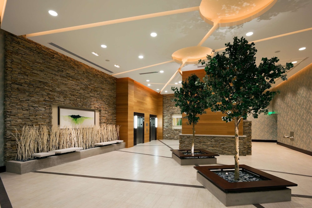 Embassy Suites by Hilton Denver Downtown Convention Center - photo 9