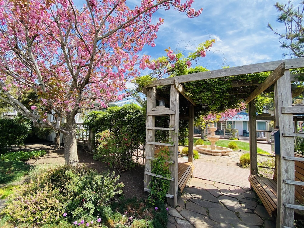 Inn at Haystack Rock - photo 62