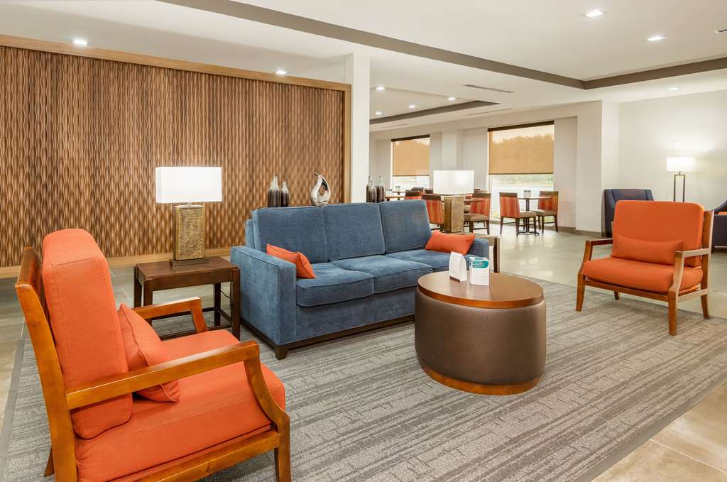 Comfort Suites DeSoto Dallas South - photo 8