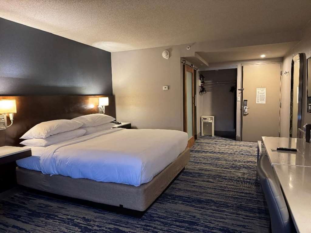 Skyline Hotel Detroit Airport SureStay Collection by BW - photo 26