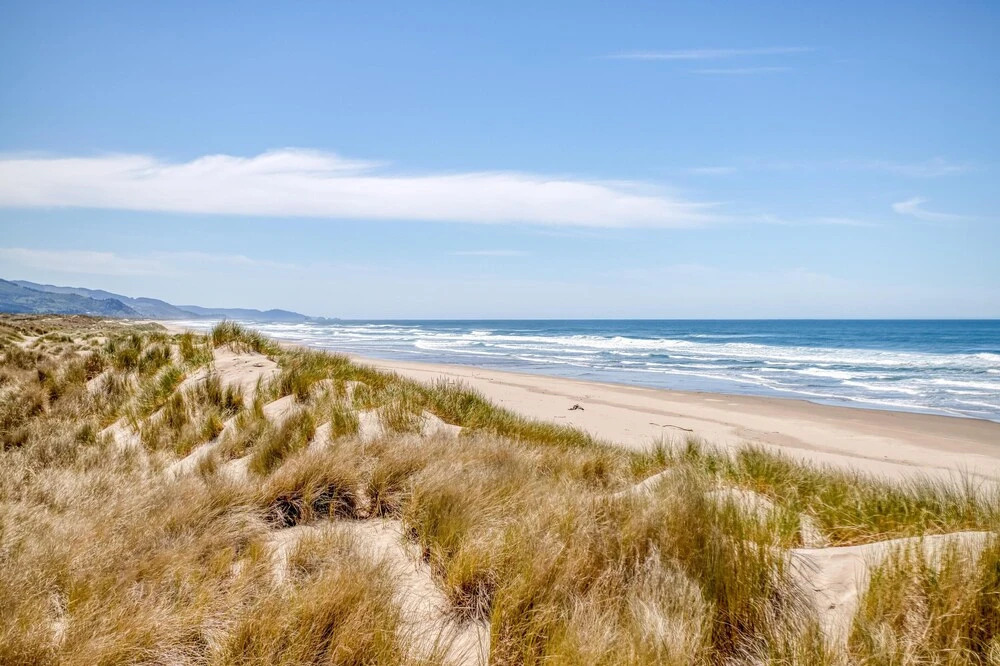 Beachcombers Paradise - photo 11