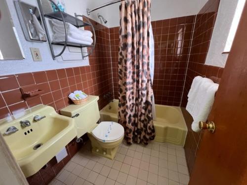 Caribbean Motel - photo 72