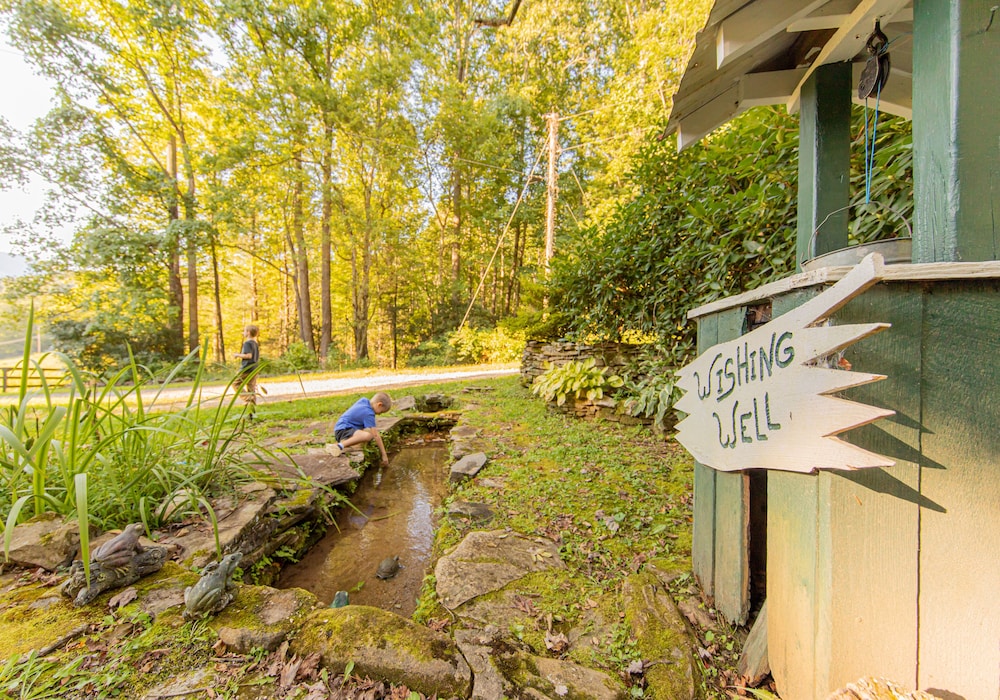 Mount Mitchell Eco Retreat - photo 63