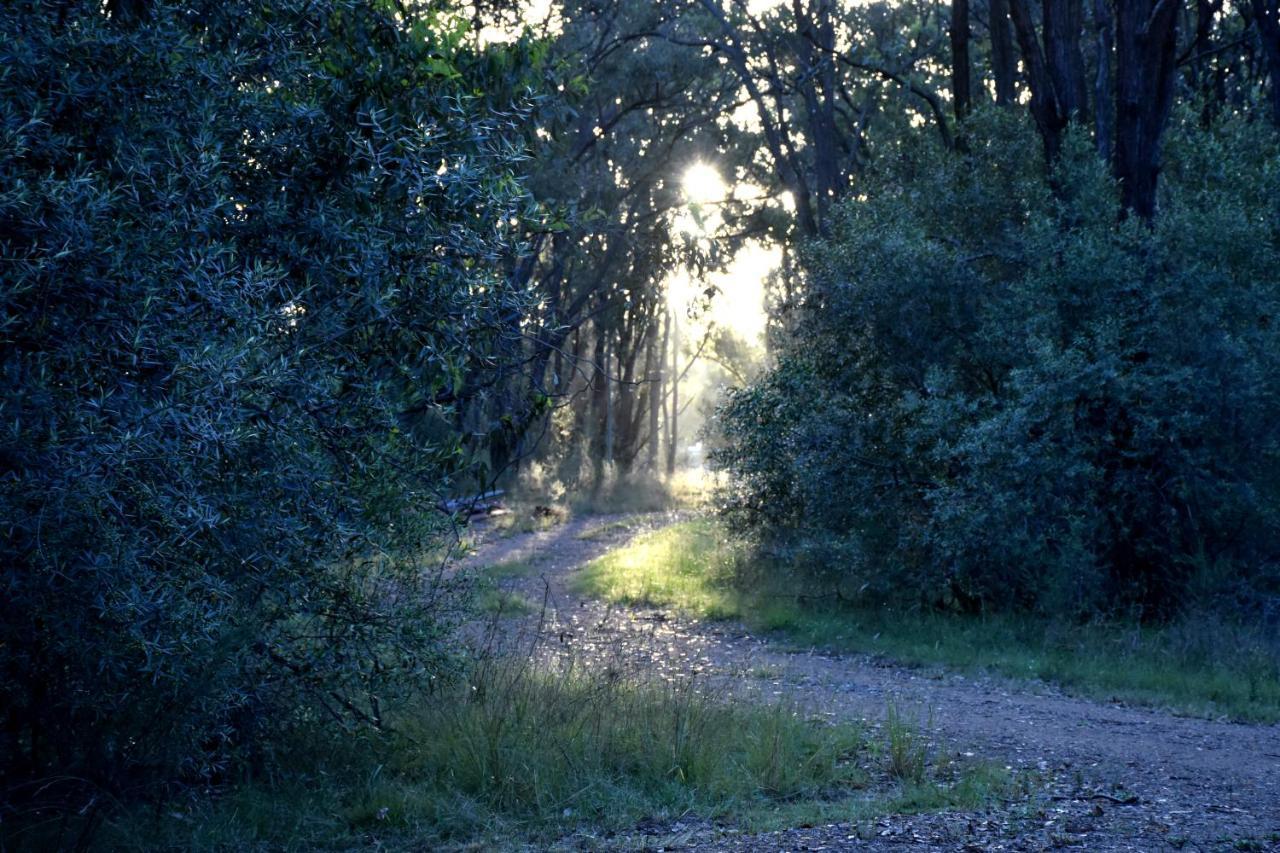 On Bell Glamping — Unknown City — photo 4