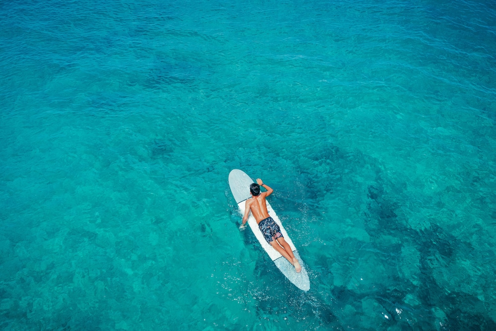 Lotus Honolulu at Diamond Head - photo 54