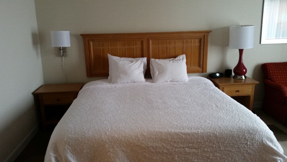 Hampton Inn Cortland - photo 22