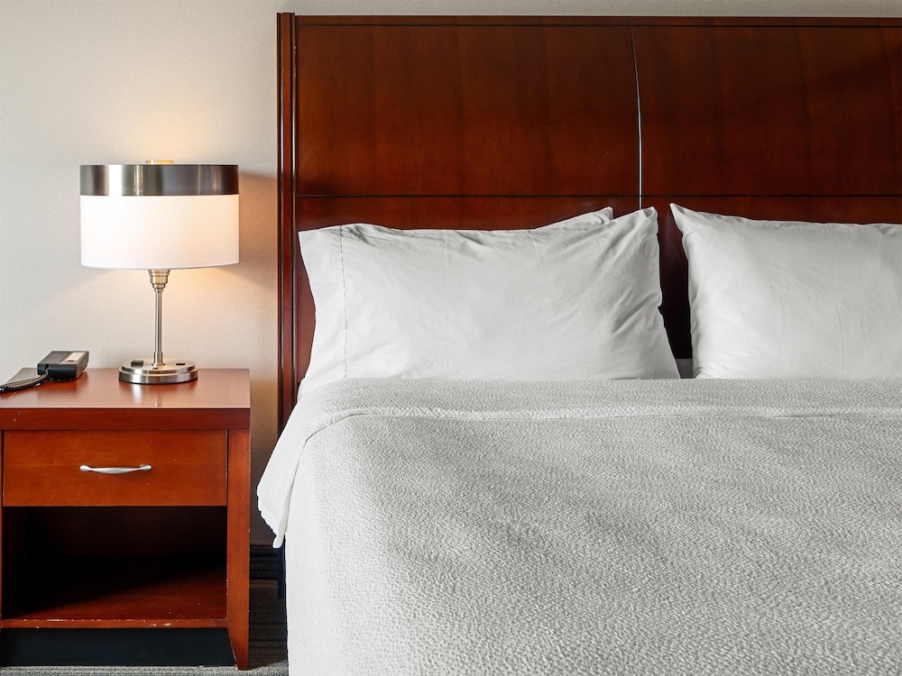 Hilton Garden Inn Winchester - photo 17