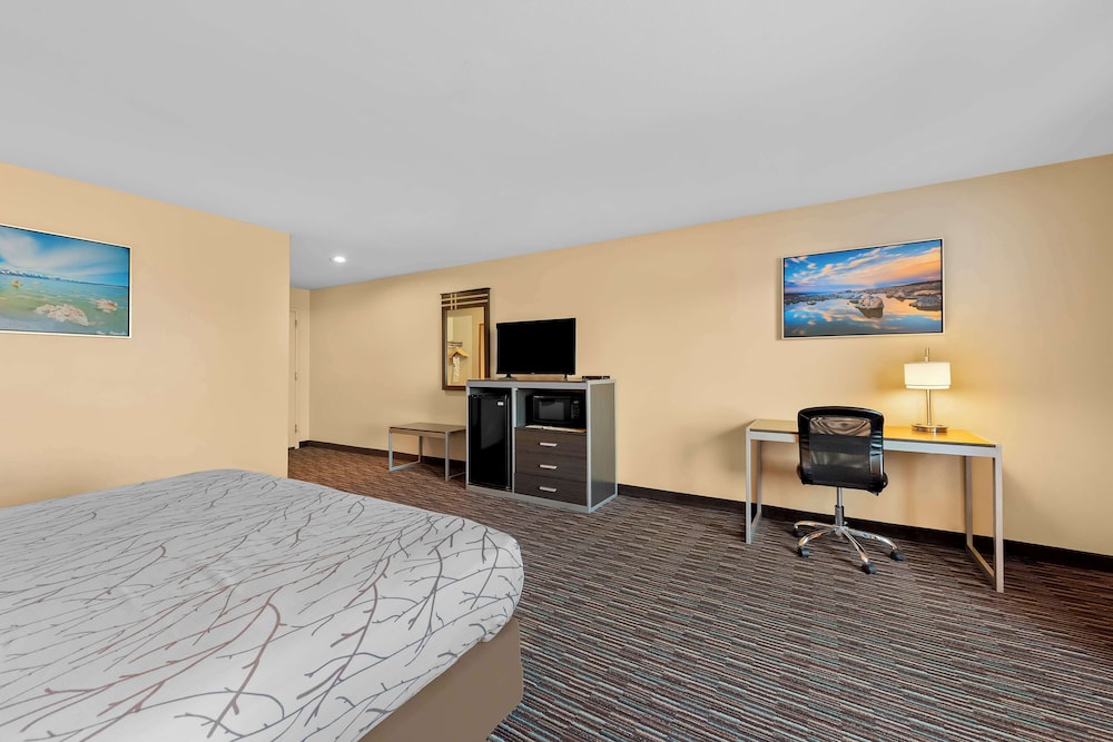 Best Western Topaz Lake Inn - photo 14