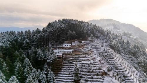 The Deodar Stays - last minute hotel in Unknown City