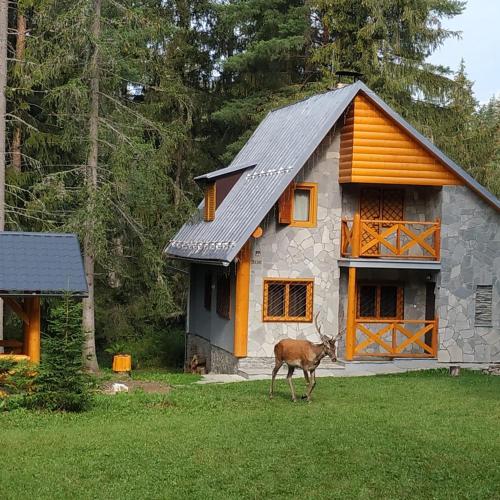Chata Tatry - carbon neutral hotel in Unknown City