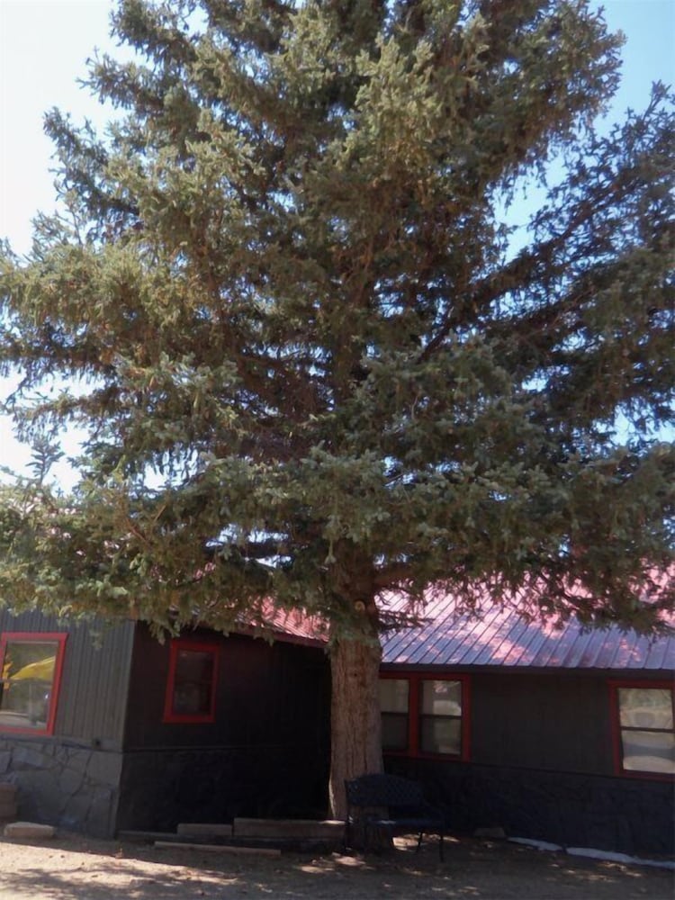 The Gold Pan Motel - photo 76