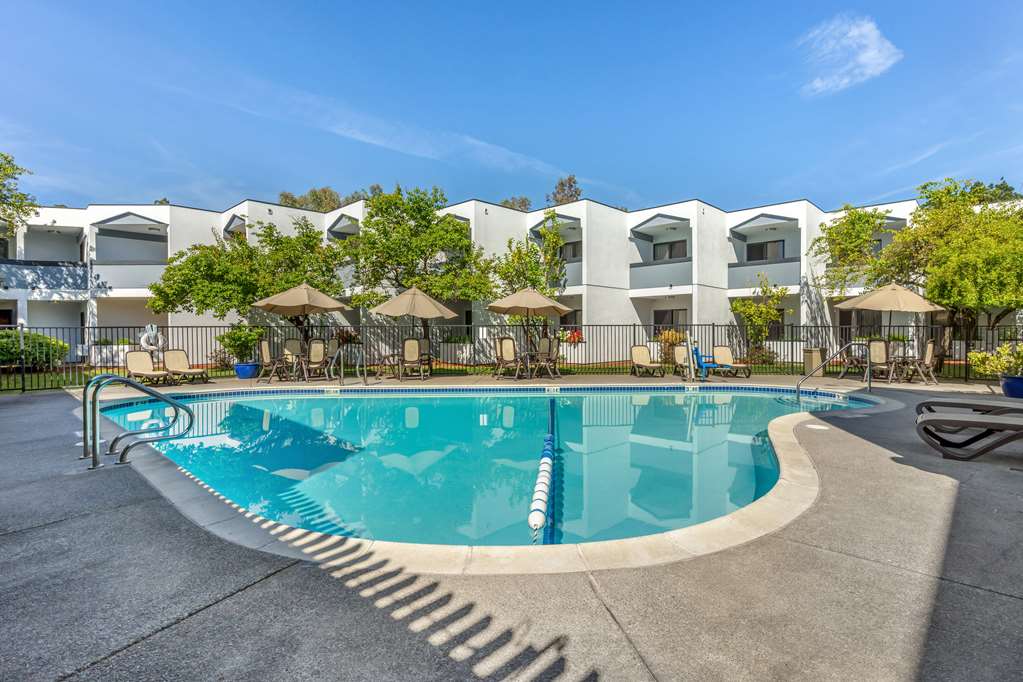 Best Western Plus Wine Country Inn & Suites - photo 38
