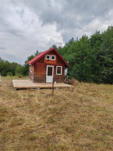 Renul Minimalist in Rasnov, Romania