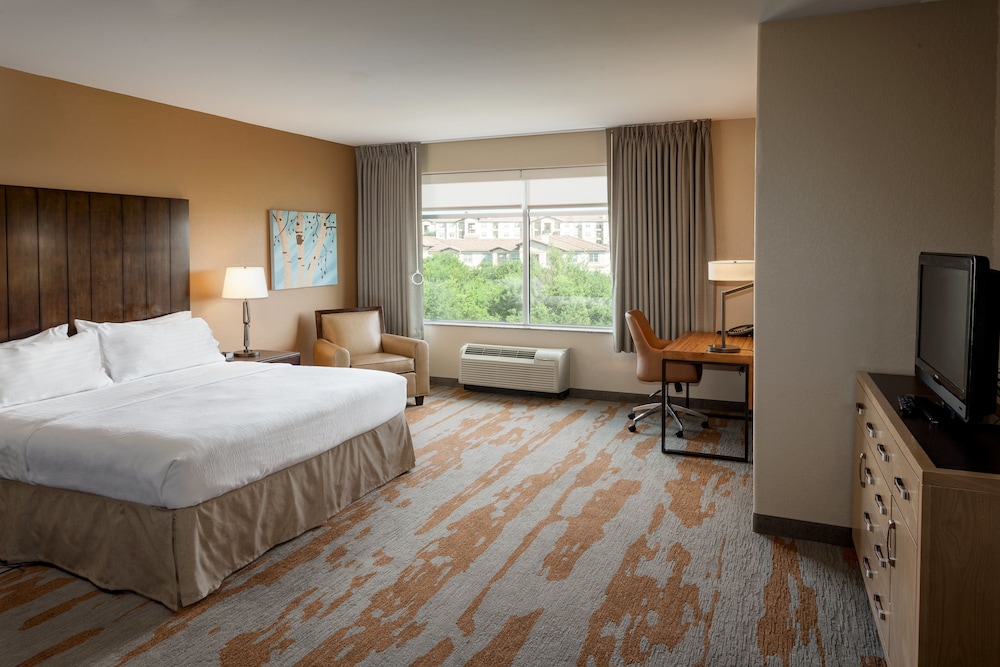 Holiday Inn San Antonio Seaworld by IHG - photo 9