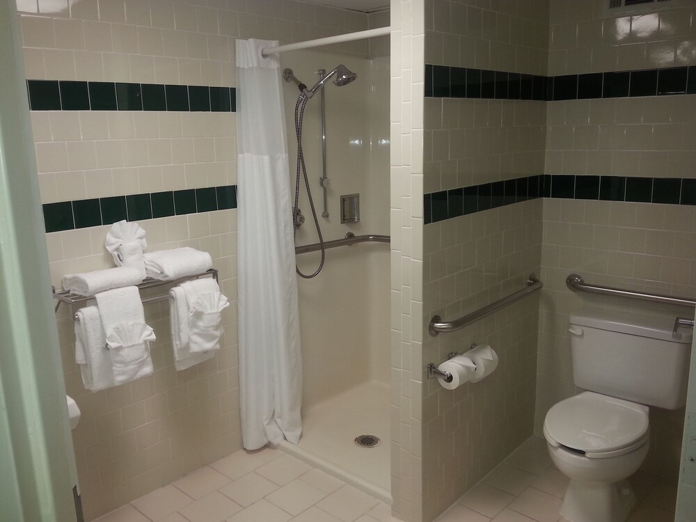 Barclay Hotel Atlanta Downtown - photo 18