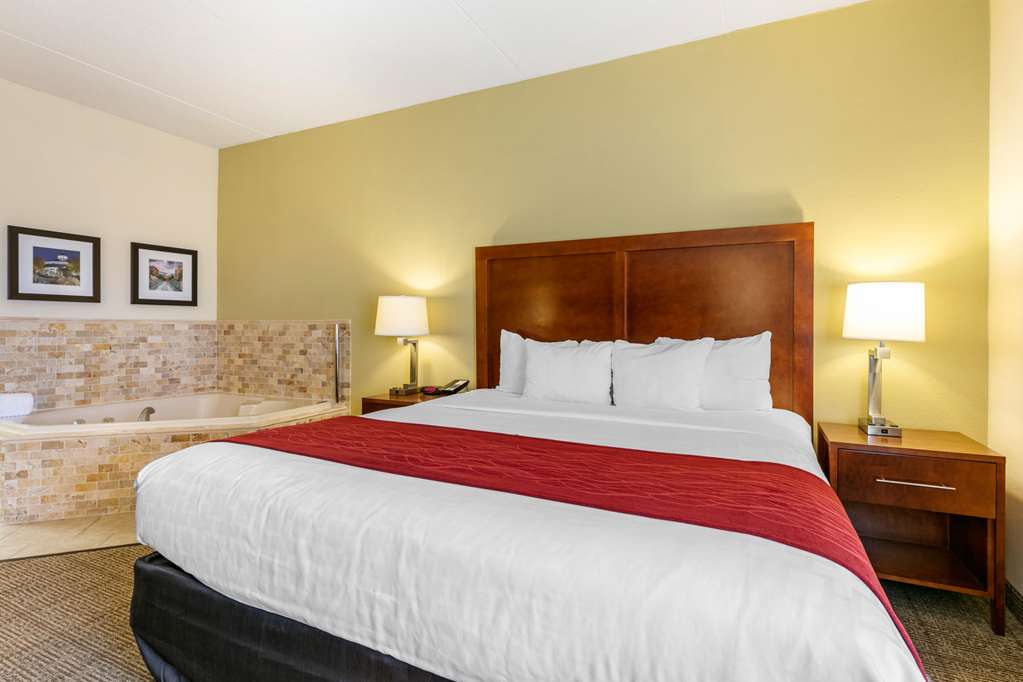 Comfort Inn Chattanooga Downtown Southside - photo 57