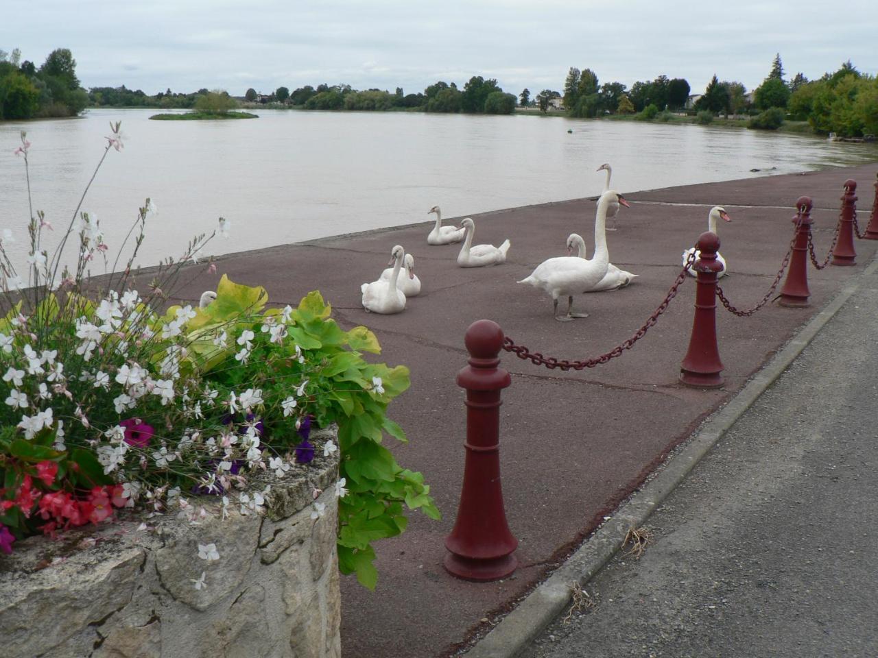 Gites Face Riviere Saint Emilion — Saint Emilion
