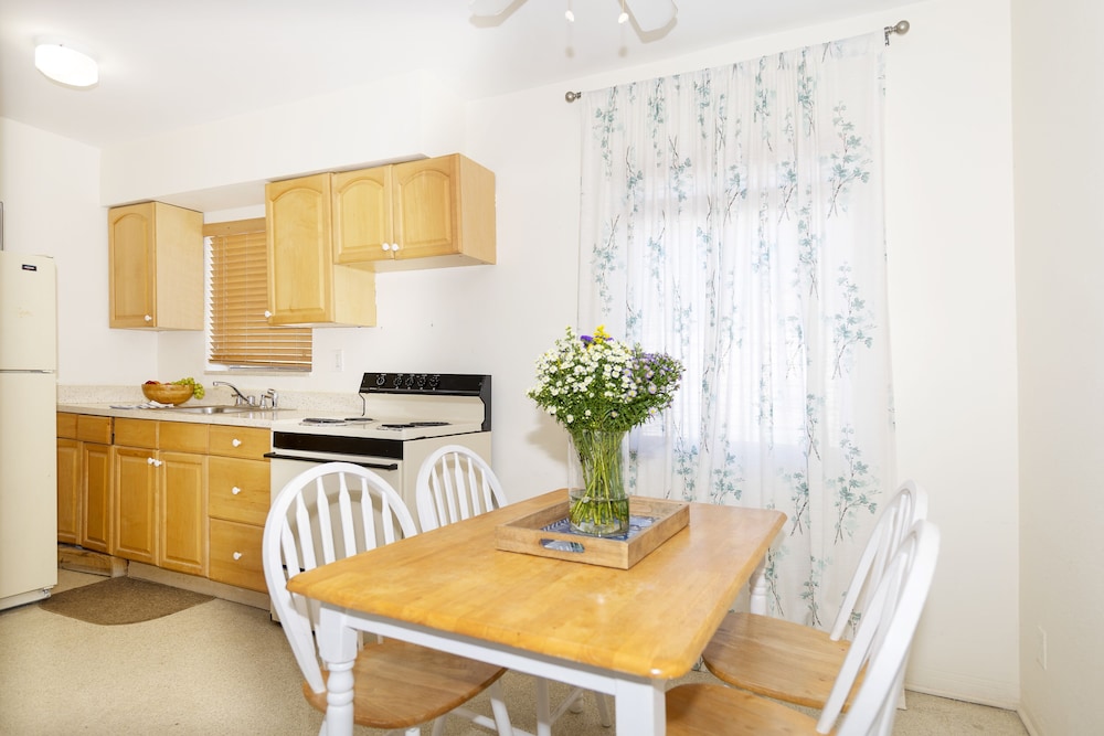 Tropic Isle Hotel and Apartment - photo 25