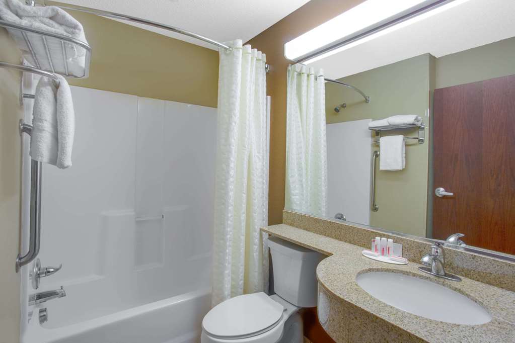 Microtel Inn & Suites by Wyndham Harrisonburg - photo 10