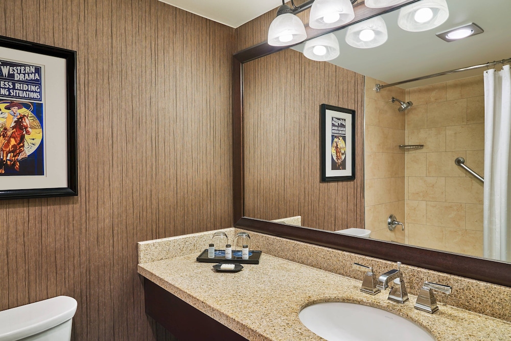 Sheraton North Houston at George Bush Intercontinental - photo 20