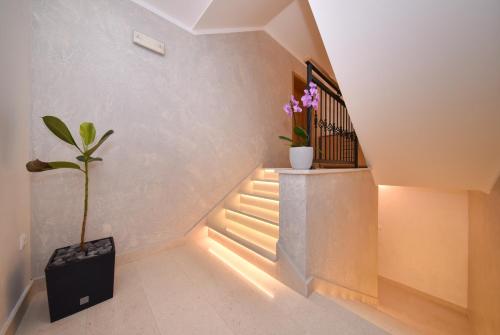 Apartmani Petra — Vir — photo 2