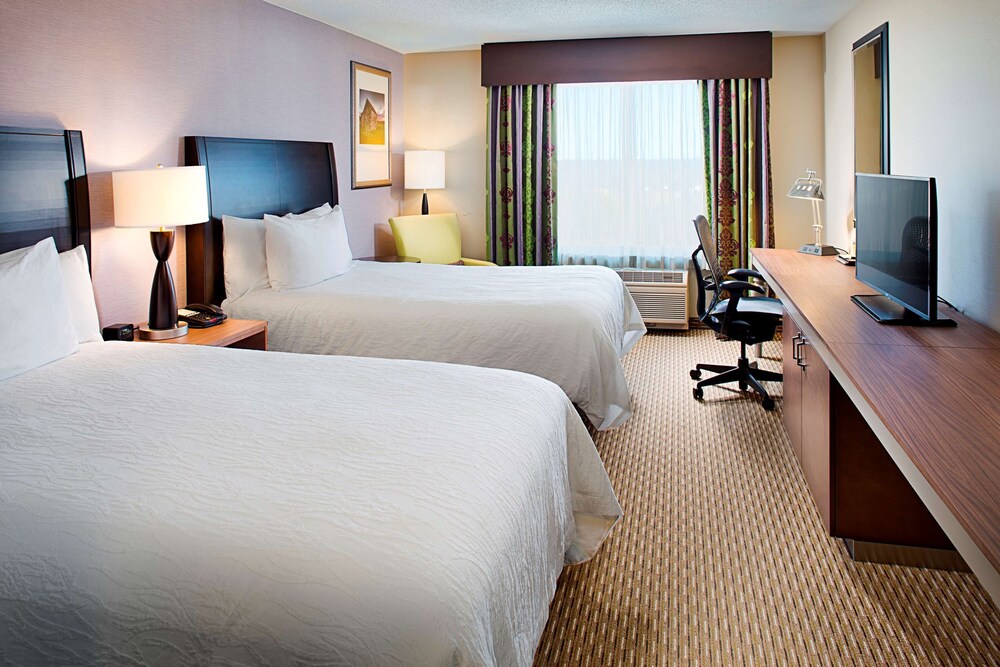 Hilton Garden Inn Hartford North Bradley International Airport - photo 22