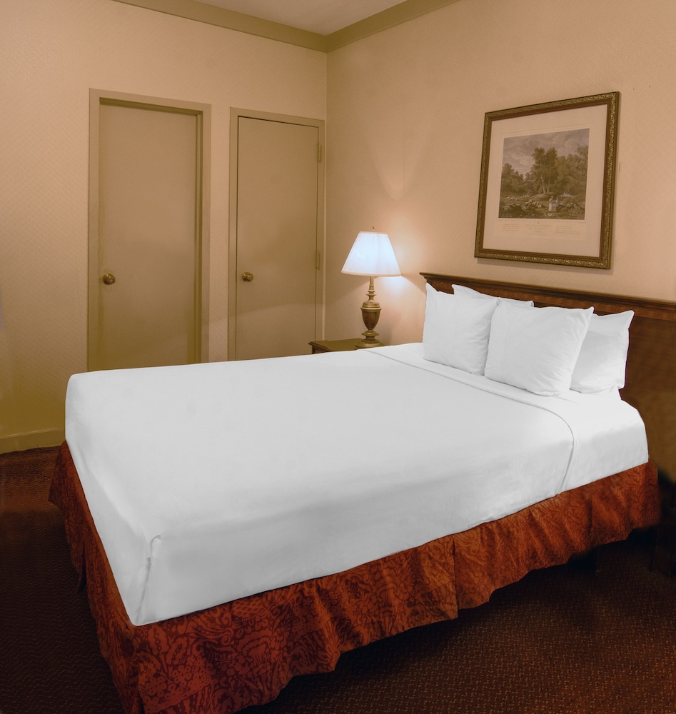 Night Hotel Broadway - photo 14