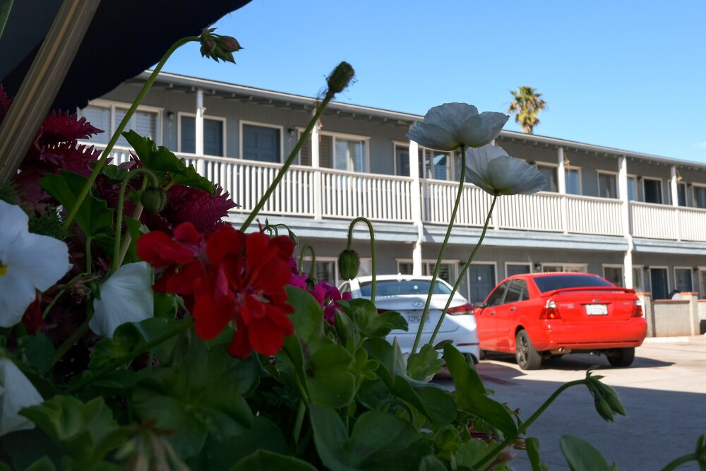 The Shores Inn and Beach Houses - photo 57
