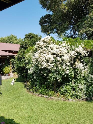 Sta. Marta B&B — Curico — photo 2