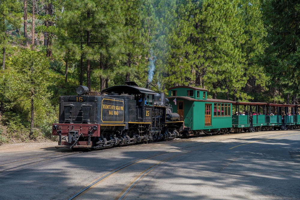 Tenaya at Yosemite - photo 191