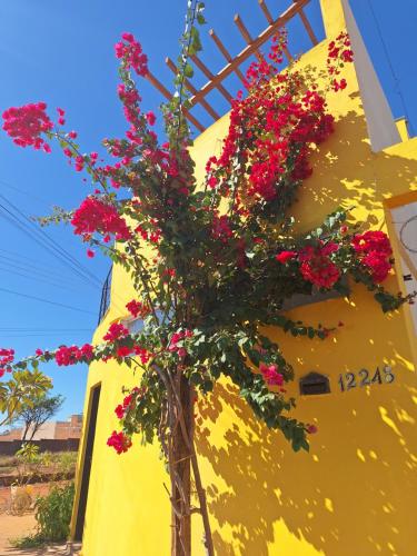 Rancho da Nice in Presidente Epitacio, Brasil