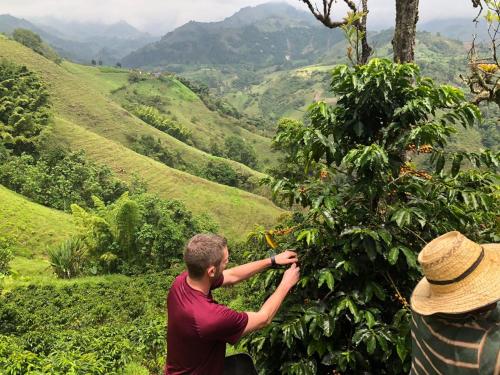 Coffee Tour Colombia Aranzazu Caldas Andean Motmot coffee pet-friendly hotel Aranzazu