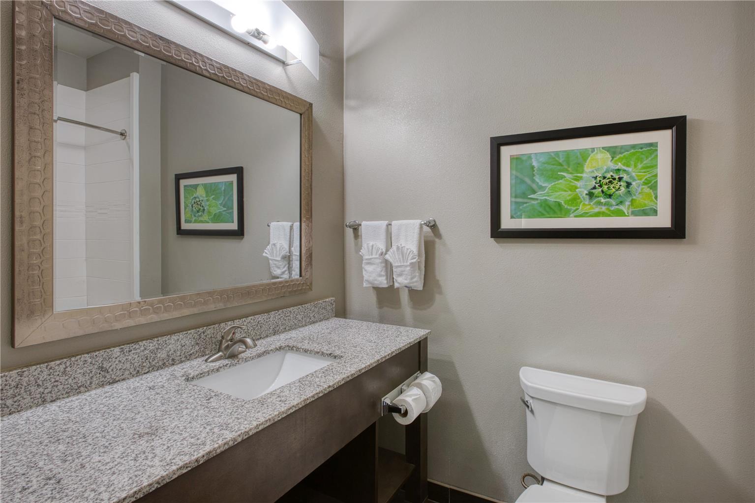 Best Western Plus Tech Medical Center Inn - photo 46