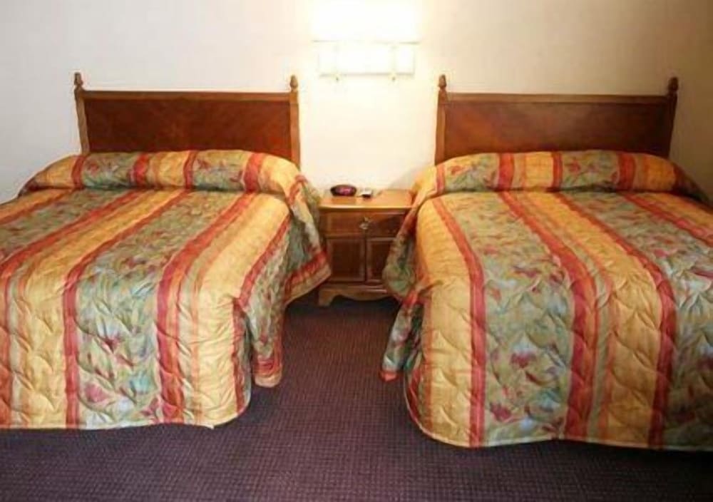 Chateau Inn and Suites - photo 7