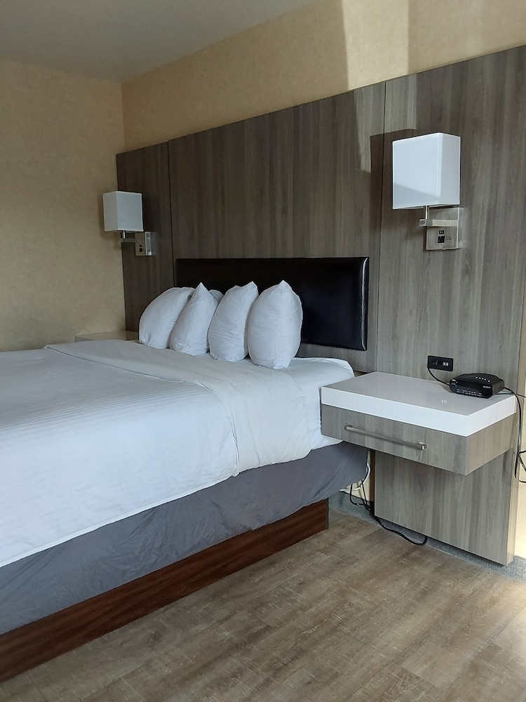 Lavissh Inn & Suites - photo 12
