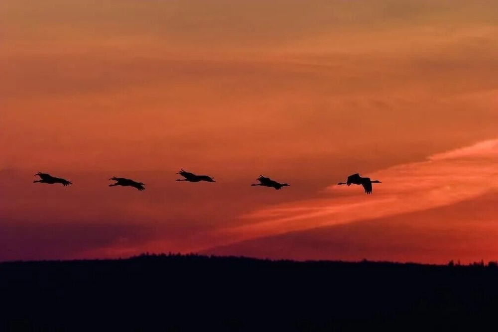 Land view from property
