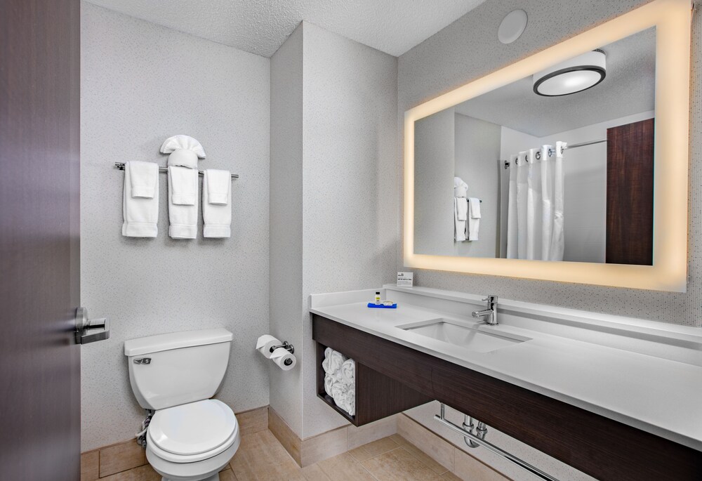 Holiday Inn Express Hotel & Suites Altoona Des Moines - photo 18
