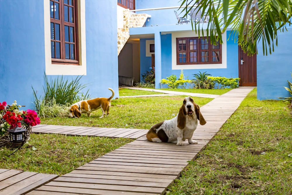 Hotel Maculís - carbon neutral hotel in Campeche
