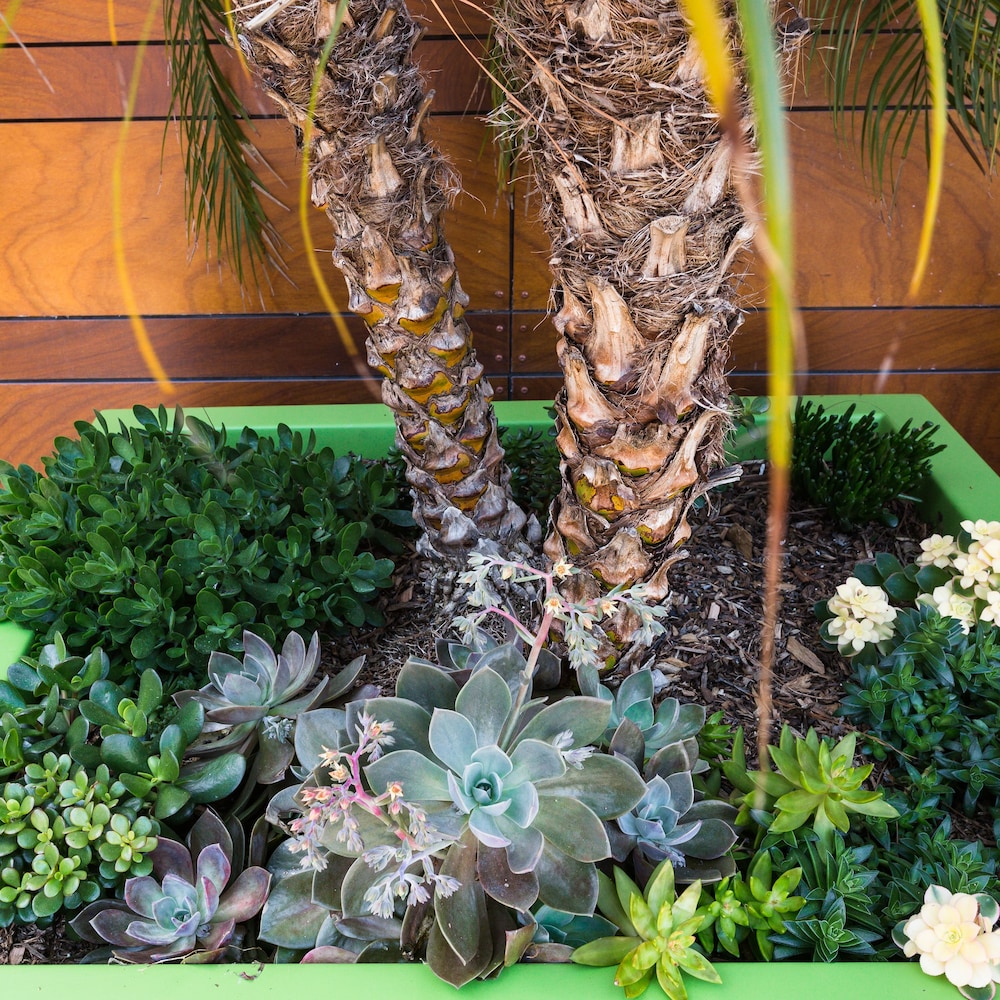 Menlo Park Inn - photo 49