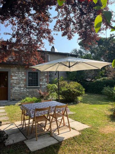 La Casina di Susy — Seravezza — photo 3